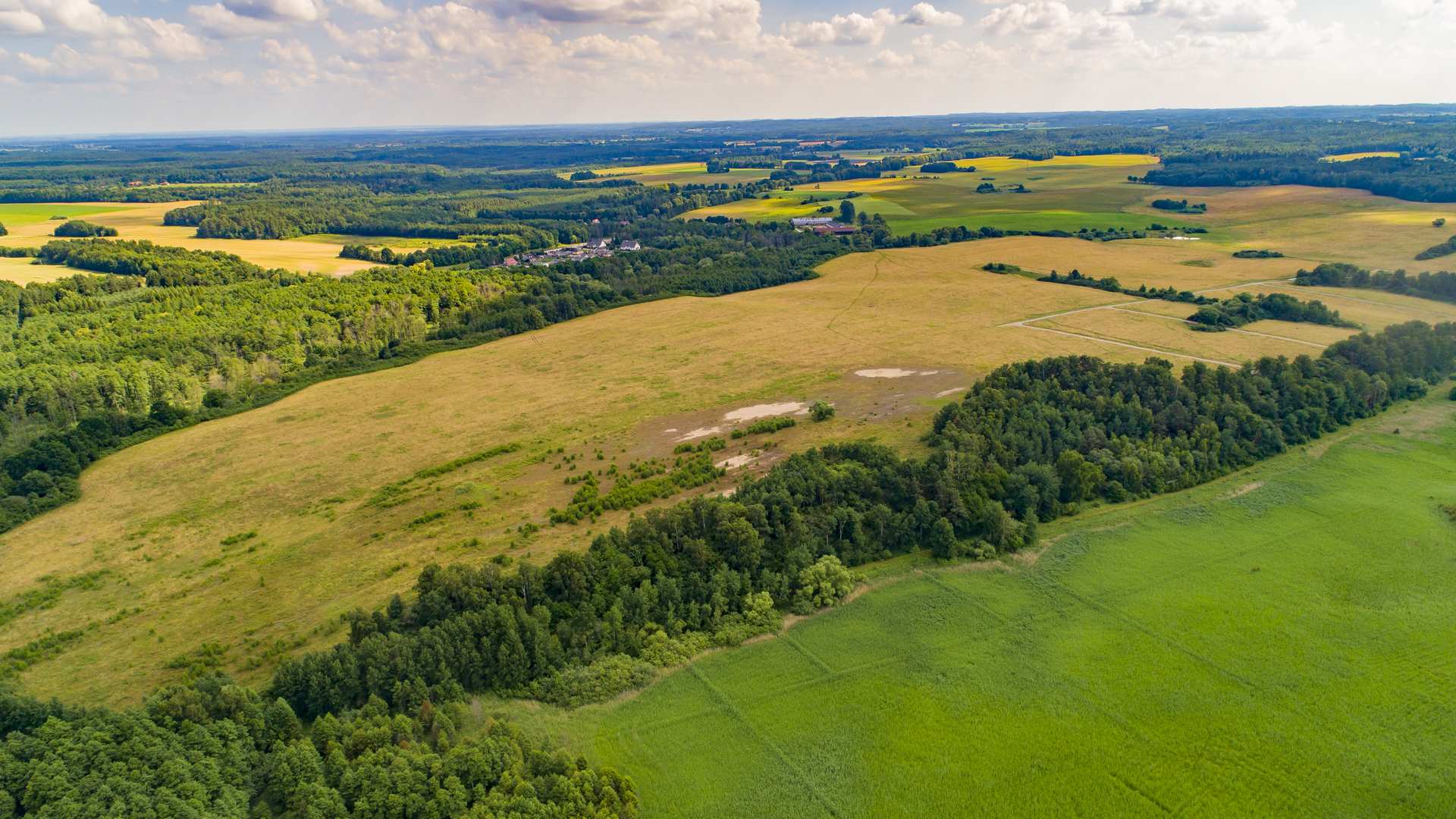 Narusa – działki 3000 m² nad Zalewem Wiślanym — zdjęcie 1