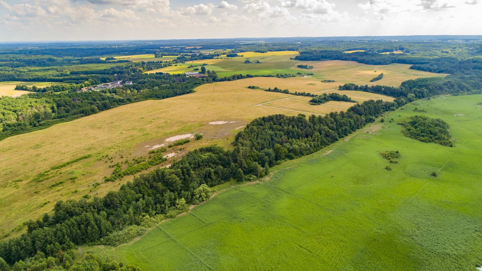 Narusa – działki 3000 m² nad Zalewem Wiślanym — zdjęcie 9