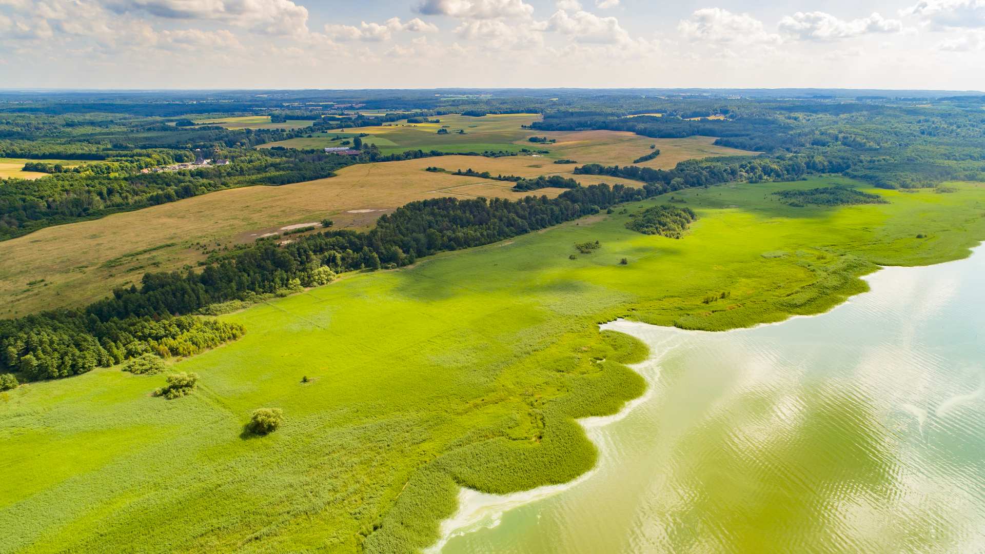 Narusa – działki 3000 m² nad Zalewem Wiślanym — zdjęcie 2