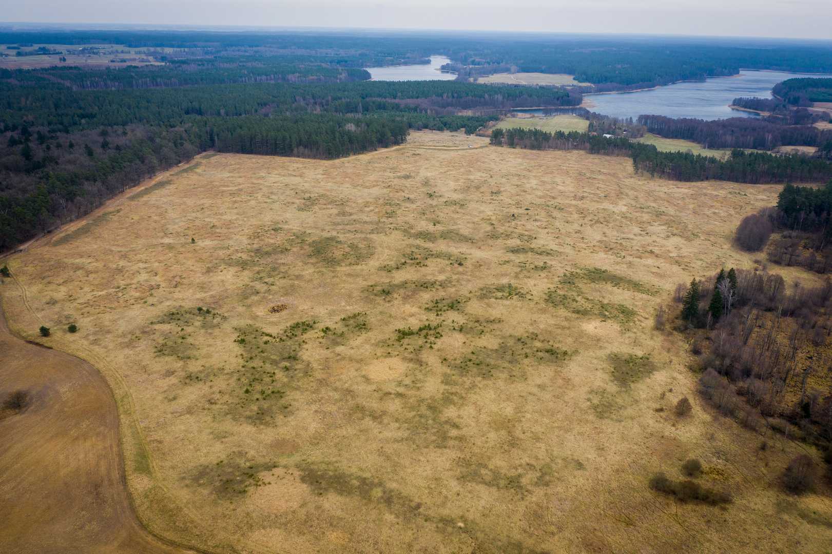 OSADA RAŃSK - działki 1000 i 1500 m2 — zdjęcie 5