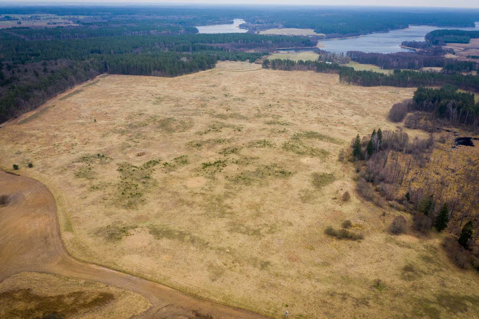 OSADA RAŃSK - działki 1000 i 1500 m2 — zdjęcie 6