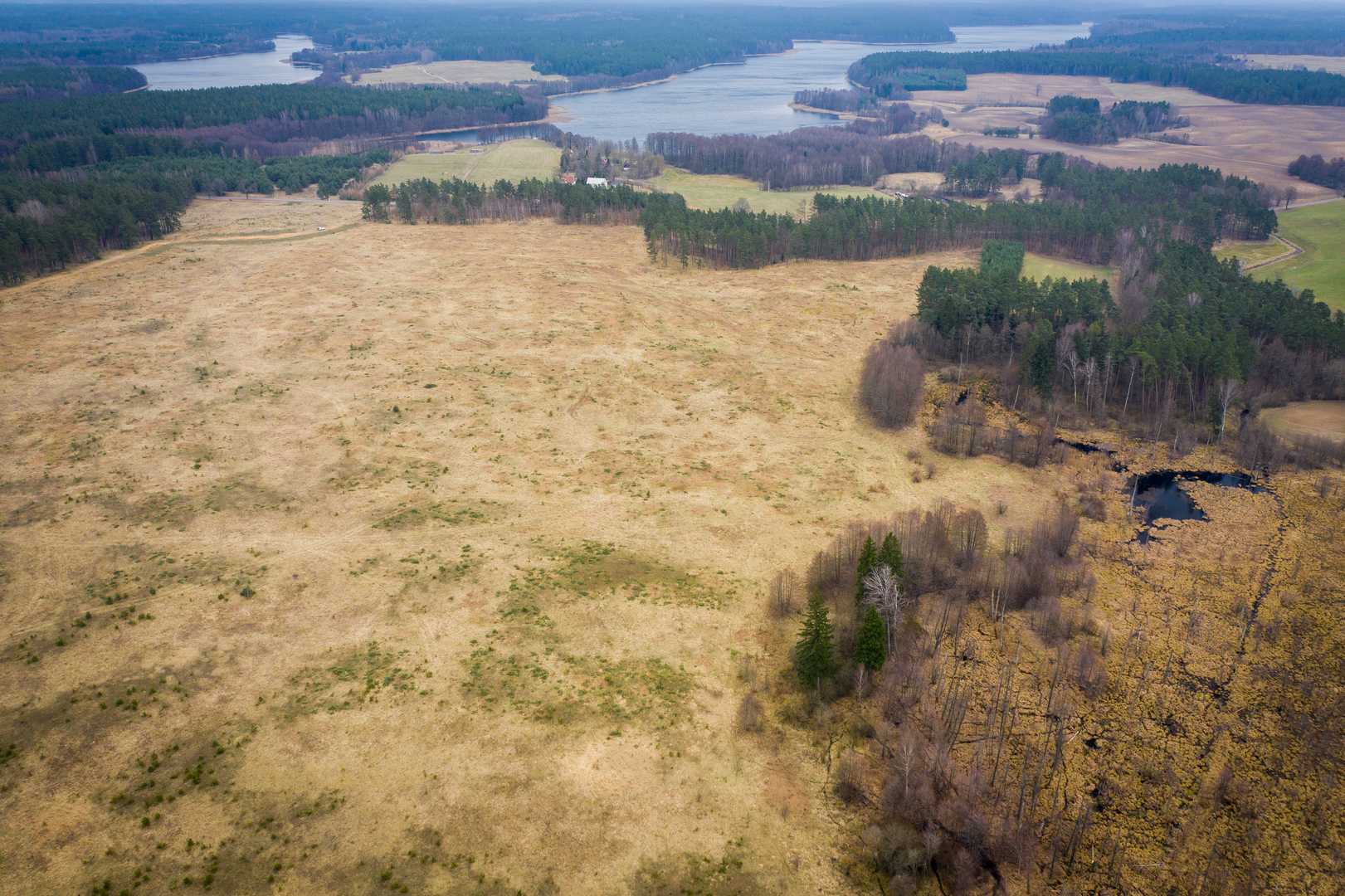 OSADA RAŃSK - działki 1000 i 1500 m2 — zdjęcie 7
