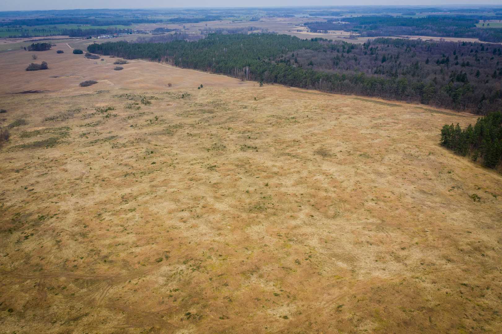 OSADA RAŃSK - działki 1000 i 1500 m2 — zdjęcie 8