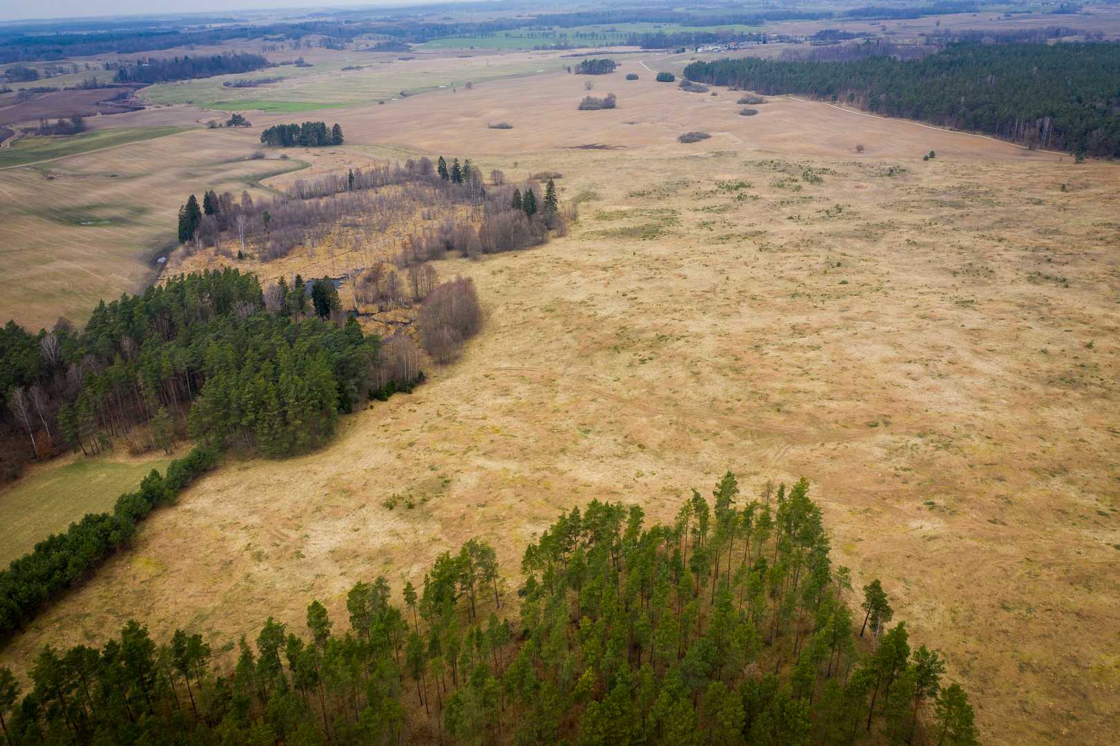 OSADA RAŃSK - działki 1000 i 1500 m2 — zdjęcie 9